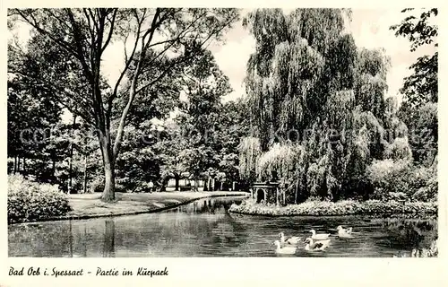 AK / Ansichtskarte  Bad_Orb Partie im Kurpark Schwanenweiher Bad_Orb