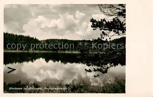 AK / Ansichtskarte  Blindensee_Schoenwald_Schwarzwald Panorama 