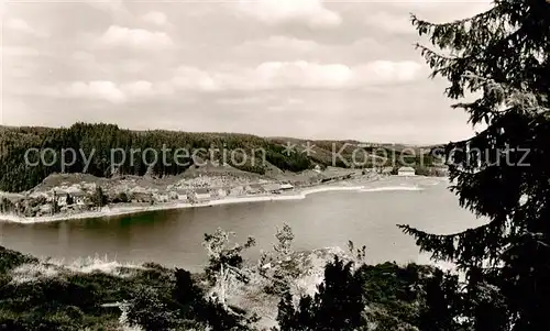 AK / Ansichtskarte  Seebrugg Partie am Schluchsee Seebrugg