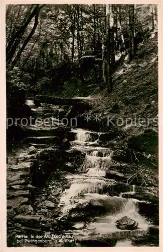 AK / Ansichtskarte  Zwingenberg_Neckar Partie in der Wolfsschlucht Zwingenberg Neckar