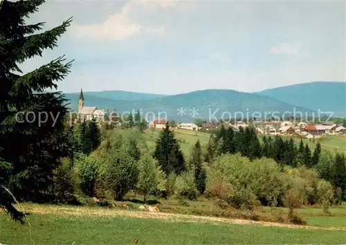 AK / Ansichtskarte 73805065 Bischofsreut_Haidmuehle Panorama Bischofsreut_Haidmuehle