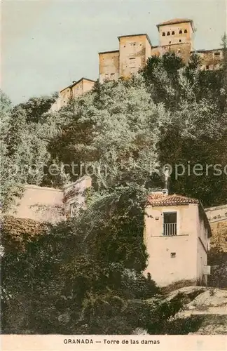 AK / Ansichtskarte  Granada_Andalucia_ES Torre de las damas 