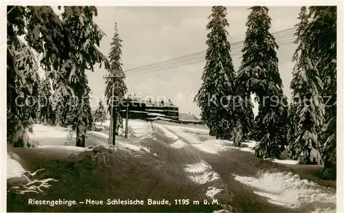 AK / Ansichtskarte 73805401 Riesengebirge_Boehmischer_Teil Neue Schlesische Baude 