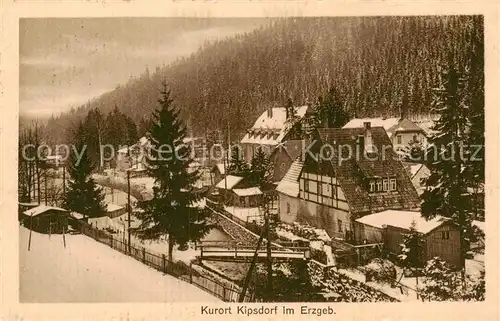 AK / Ansichtskarte  Kipsdorf_Altenberg Bahnhotel zur Tellkoppe 