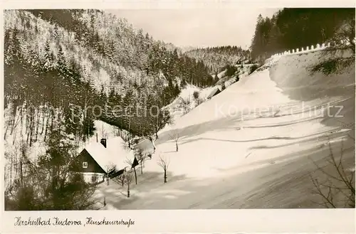 AK / Ansichtskarte  Bad_Kudowa_Kudowa-Zdroj_Niederschlesien_PL Heuscheuerstrasse 