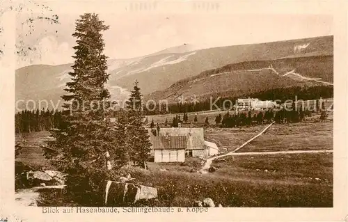 AK / Ansichtskarte 73805449 Riesengebirge_Boehmischer_Teil Blick auf Hasenbaude Schlingelbaude und Koppe 