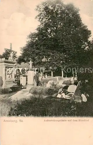 AK / Ansichtskarte  Annaberg_-Buchholz_Erzgebirge Auferstehungslinde auf dem Friedhof 