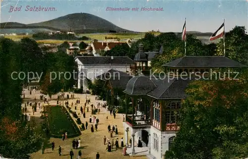 AK / Ansichtskarte  Bad_Salzbrunn_Szczawno-Zdroj_PL Elisenhalle mit Hochwald 