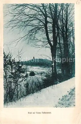 AK / Ansichtskarte  Burg_Falkenstein_Harz Panorama 