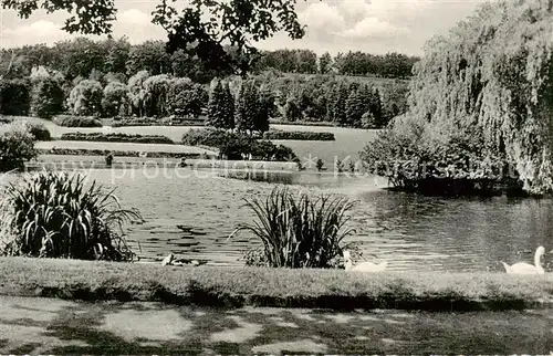 AK / Ansichtskarte  Bielefeld Motiv aus dem Buergerpark Bielefeld