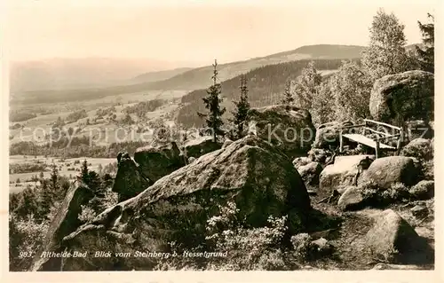 AK / Ansichtskarte  Altheide_Bad_Schlesien_PL Landschaftspanorama Blick vom Steinberg beim Nesselgrund 