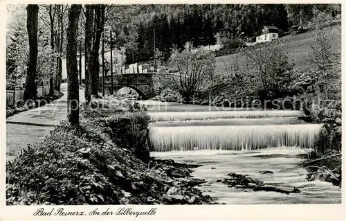 AK / Ansichtskarte  Bad_Reinerz_Duszniki-Zdrój_PL An der Silberquelle 