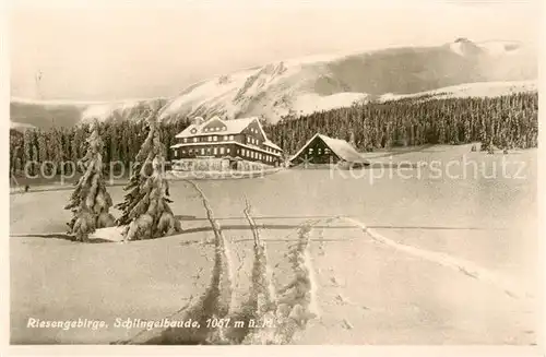 AK / Ansichtskarte  Riesengebirge_Boehmischer_Teil Schlingelbaude 