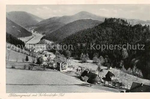 AK / Ansichtskarte  Blitzengrund Goerbersdorfertal_PL Panorama Goerbersdorfer Tal 