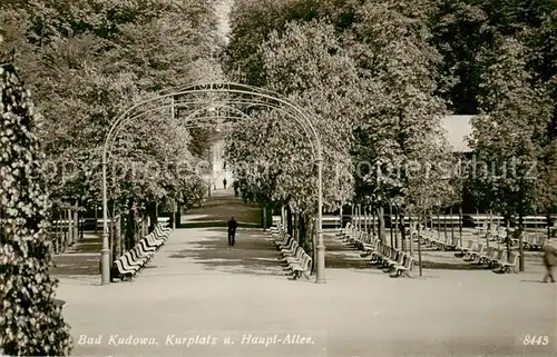 AK / Ansichtskarte  Bad_Kudowa_Kudowa-Zdroj_Niederschlesien_PL Kurplatz und Hauptallee 