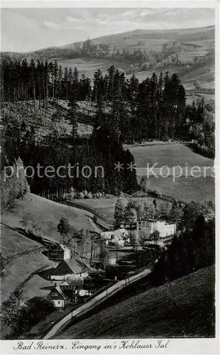 AK / Ansichtskarte 73805894 Bad_Reinerz_Duszniki-Zdrój_PL Panorama Eingang ins Kohlauer Tal 