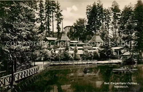 AK / Ansichtskarte  Bad_Ziegenhals_Oberschlesien Waldteich Bad_Ziegenhals