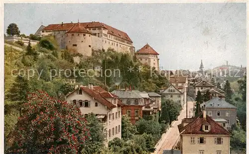 AK / Ansichtskarte  Tuebingen Schloss mit Neckarhalde Tuebingen