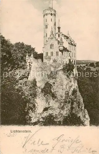 AK / Ansichtskarte  Lichtenstein__Schloss_Wuerttemberg Schloss Lichtenstein 