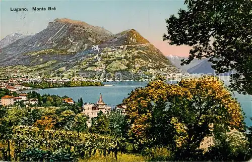 AK / Ansichtskarte Lugano_Lago_di_Lugano_TI Monte Bre 