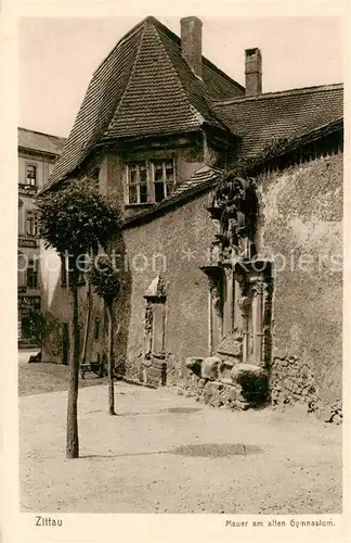 AK / Ansichtskarte  Zittau Mayer am alten Gymnasium Zittau