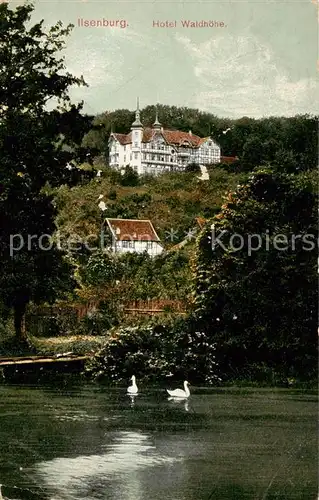 AK / Ansichtskarte  Ilsenburg_Harz Hotel Waldhoehe Ilsenburg Harz