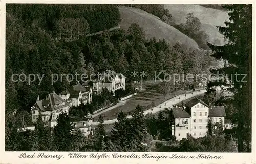 AK / Ansichtskarte  Bad_Reinerz_Duszniki-Zdrój_PL Villen Idylle Cornelia Koenigin Luise und Fortuna 