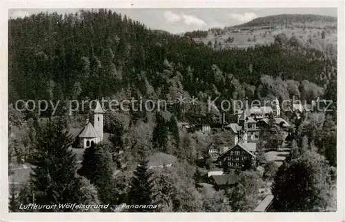 AK / Ansichtskarte  Woelfelsgrund_Glatz_PL Panorama Luftkurort 