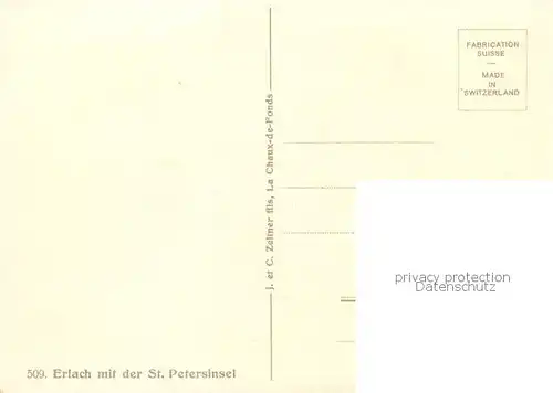 AK / Ansichtskarte Erlach_BE mit St. Petersinsel Kuenstlerkarte Erlach_BE