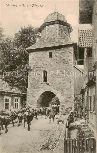 AK / Ansichtskarte  Stolberg_Harz Altes Tor Stolberg Harz