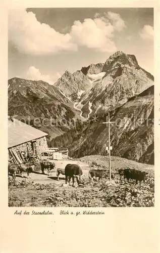 AK / Ansichtskarte  Widderstein_AT Auf der Starzelalm 