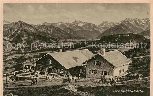 AK / Ansichtskarte  Alpe-Egg_Sonthofen_Oberallgaeu am Ofterschwangerhorn 