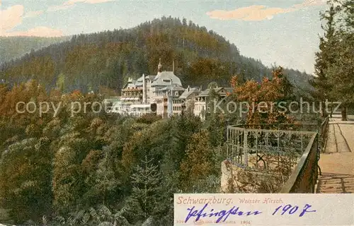 AK / Ansichtskarte  Weisser_Hirsch_Bad_Dresden Schwarzburg 