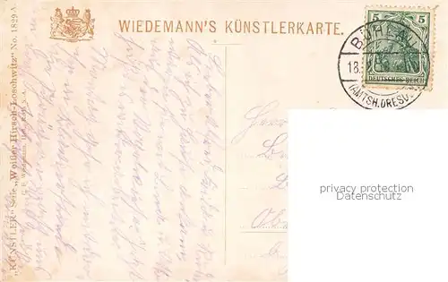 AK / Ansichtskarte  Weisser_Hirsch_Bad_Dresden Waldpark 