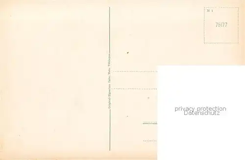 AK / Ansichtskarte  Regensburg Domhof Regensburg