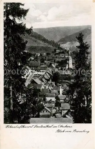 AK / Ansichtskarte  Lautenthal_Harz Panorama Blick vom Bromberg Lautenthal Harz