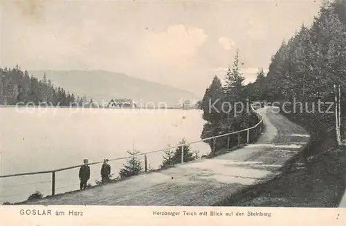 AK / Ansichtskarte  Goslar Herzberger Teich mit Blick zum Steinberg Goslar