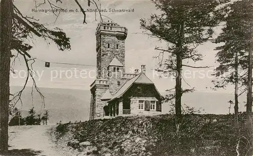 AK / Ansichtskarte  Hornisgrinde_Sasbach Aussichtsturm 