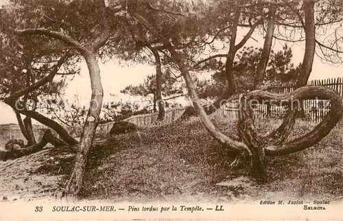 AK / Ansichtskarte Soulac sur Mer Pins tordus par la Tempete Soulac sur Mer