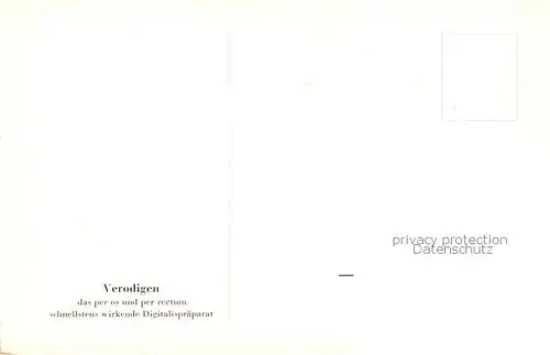 AK / Ansichtskarte  Greifswald Marktplatz Rathaus Greifswald