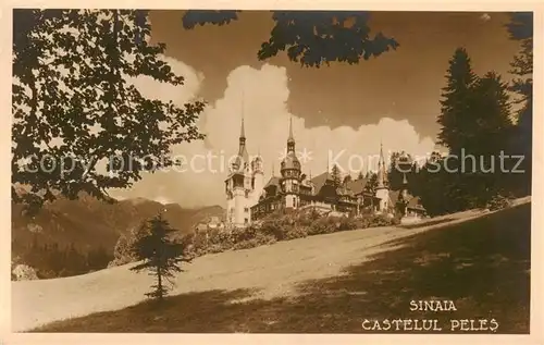 AK / Ansichtskarte 73807527 Sinaia_RO Castelul Peles 