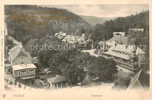 AK / Ansichtskarte  Alexisbad_Harz Panorama Alexisbad_Harz