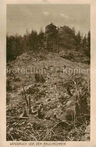 AK / Ansichtskarte  Arnbruck Windbruch vor den Rauchroehren Felsen Arnbruck