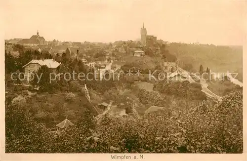 AK / Ansichtskarte 73807644 Wimpfen Panorama Wimpfen