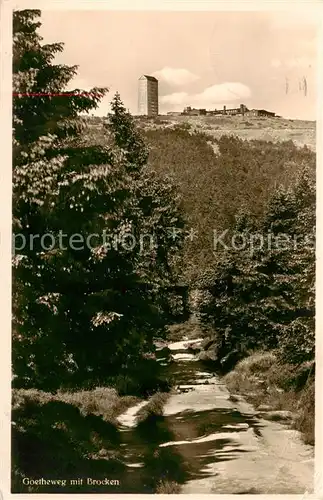 AK / Ansichtskarte 73807647 Wernigerode_Harz Goetheweg mit Brocken Wernigerode Harz