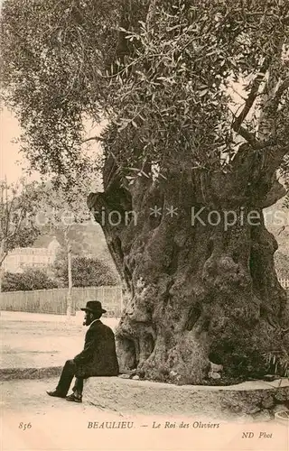 AK / Ansichtskarte Beaulieu_ sur Mer_06_Alpes Maritimes Le Roi des Oliviers 