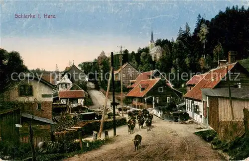 AK / Ansichtskarte  Schierke_Harz Ortsmotiv Schierke Harz