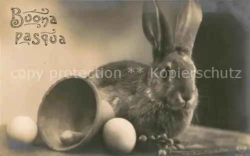 AK / Ansichtskarte  Verlag_EAS_Nr. Nr.3247 2 Osterhase mit Ei 