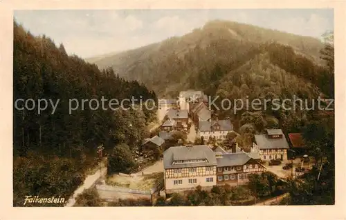 AK / Ansichtskarte  Probstzella Gasthaus zum Falkenstein Loquitztal Probstzella