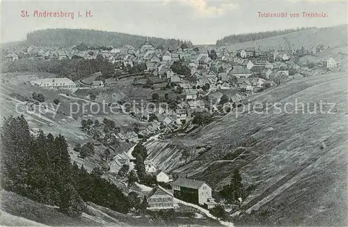 AK / Ansichtskarte  St_Andreasberg_Harz Totalansicht von Treibholz St_Andreasberg_Harz